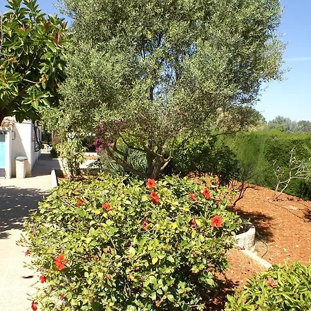 Finca La Plana Zh